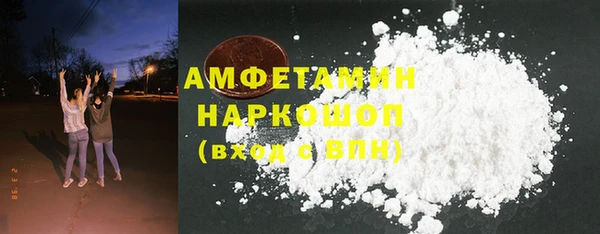 индика Алексин