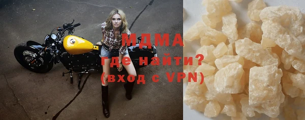 индика Алексин
