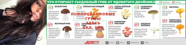 круглые Алзамай