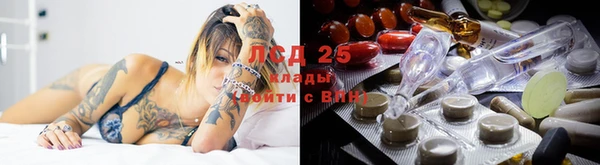 индика Алексин