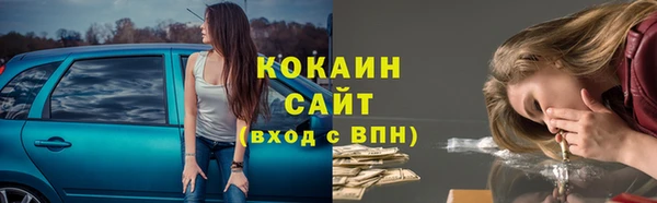 индика Алексин