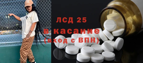 индика Алексин