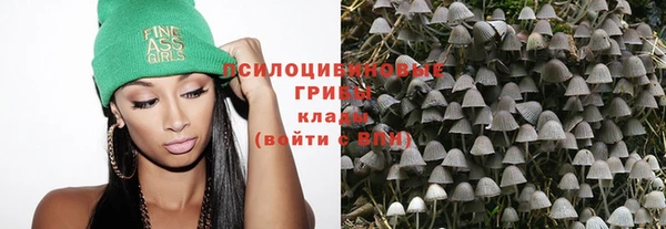 индика Алексин