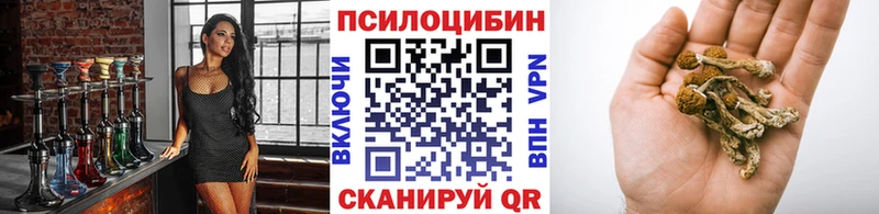 Псилоцибиновые грибы Psilocybine cubensis  что такое   Пучеж 